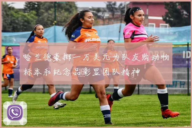 哈兰德豪掷一万美元为队友购动物标本和纪念品彰显团队精神
