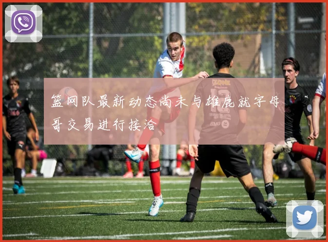 篮网队最新动态尚未与雄鹿就字母哥交易进行接洽