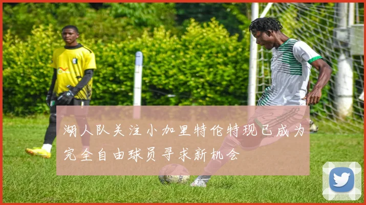 湖人队关注小加里特伦特现已成为完全自由球员寻求新机会