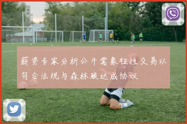 薪资专家分析公牛需象征性交易以符合法规与森林狼达成协议