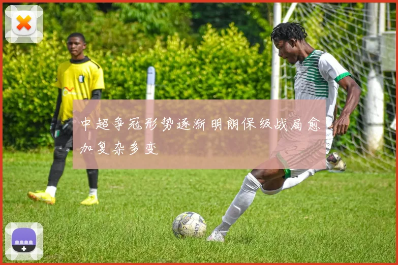 中超争冠形势逐渐明朗保级战局愈加复杂多变